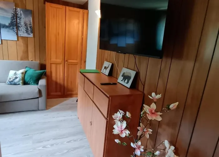 Monolocale Cervinia - Rododendro - In-out Apartment